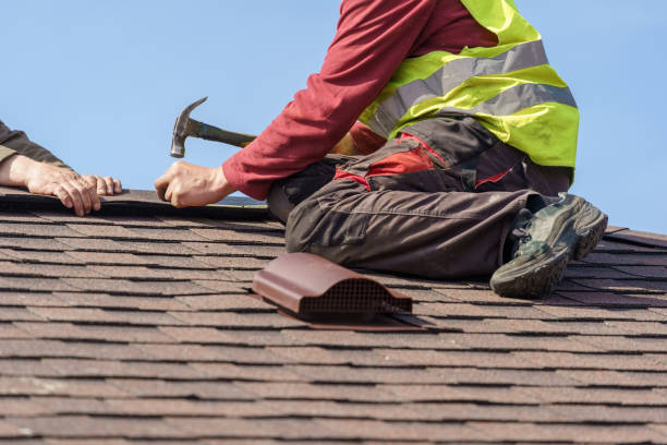 Best Shingle Roofing Installation  in Nicholls, GA