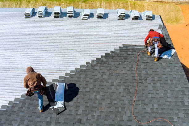 Best Roof Restoration Services  in Nicholls, GA