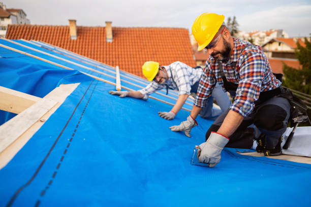 Best Roof Leak Repair  in Nicholls, GA