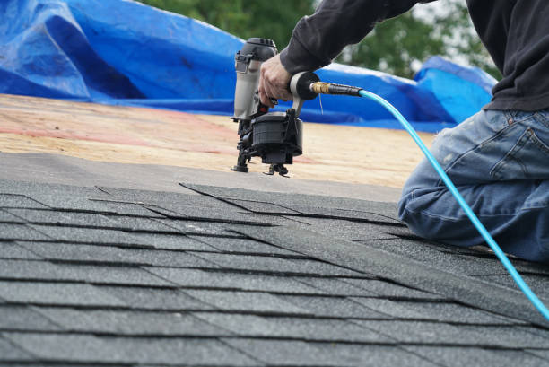 Best Residential Roofing Contractor  in Nicholls, GA