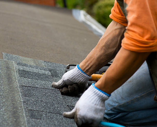 Best Emergency Roof Repair  in Nicholls, GA